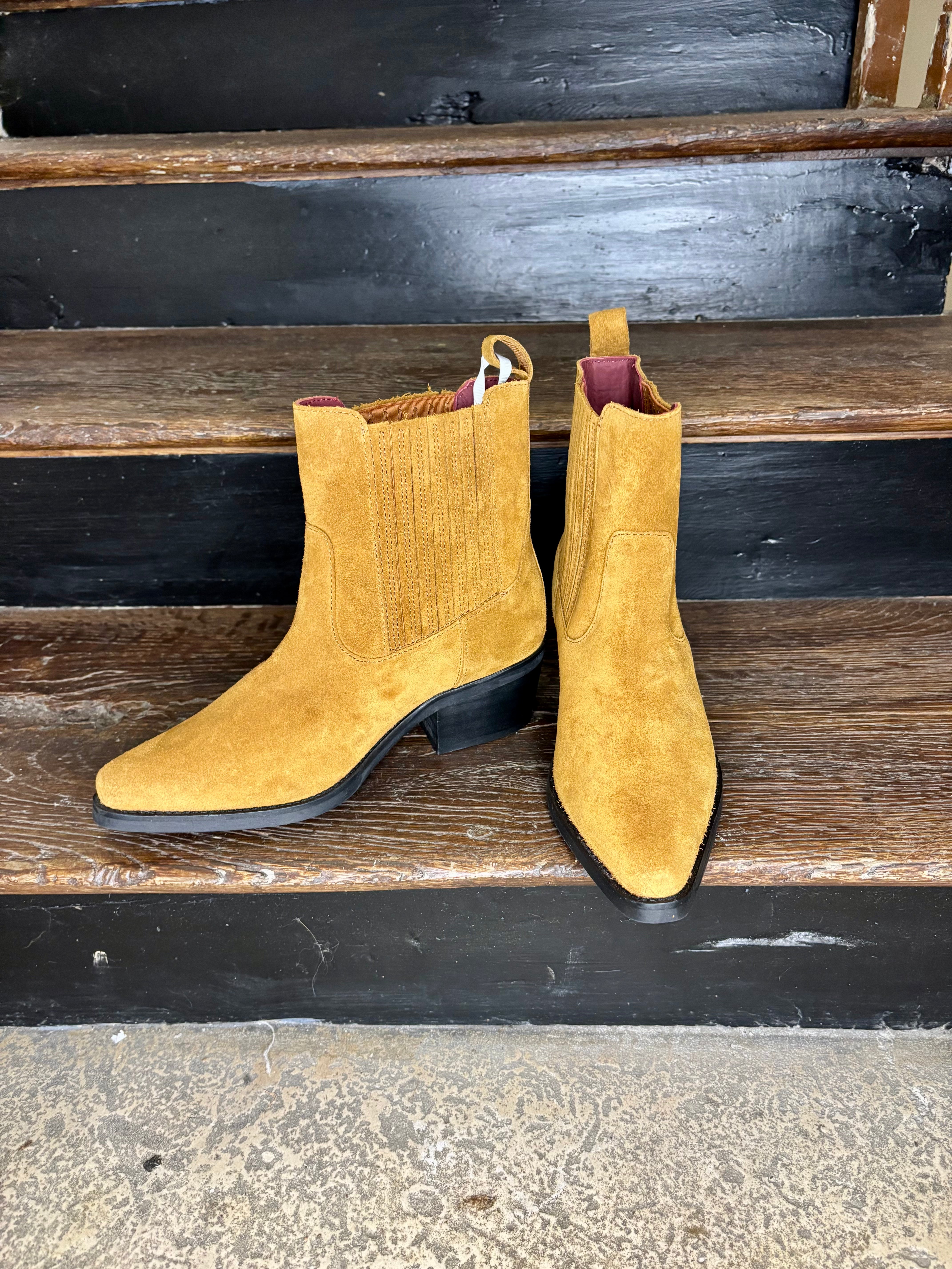 Bottines suèdine - Tommy Hilfiger