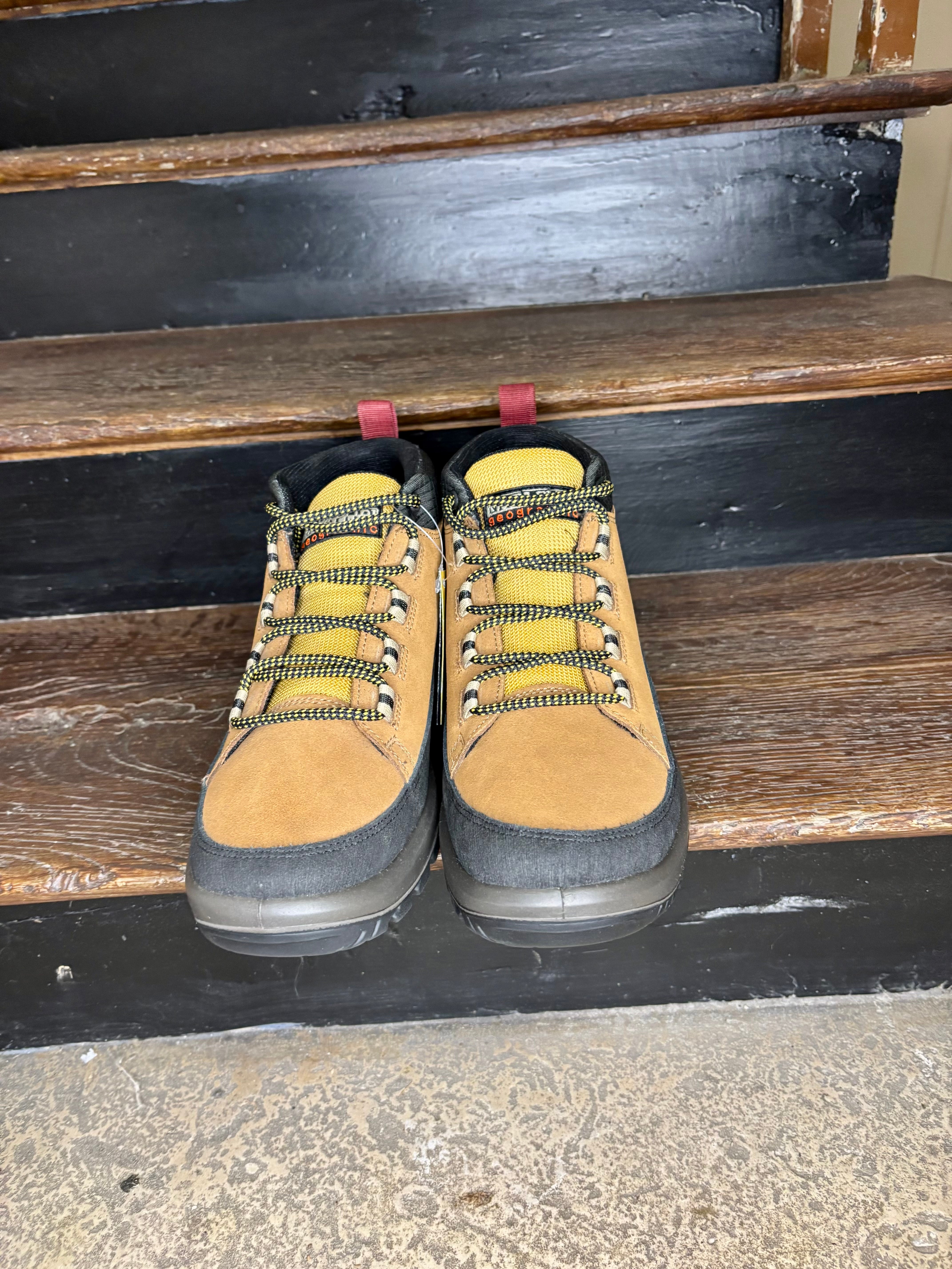 Boots Napapijri Homme Camel – Bottines Chaudes Déperlantes Hiver Urbain Confort et Style