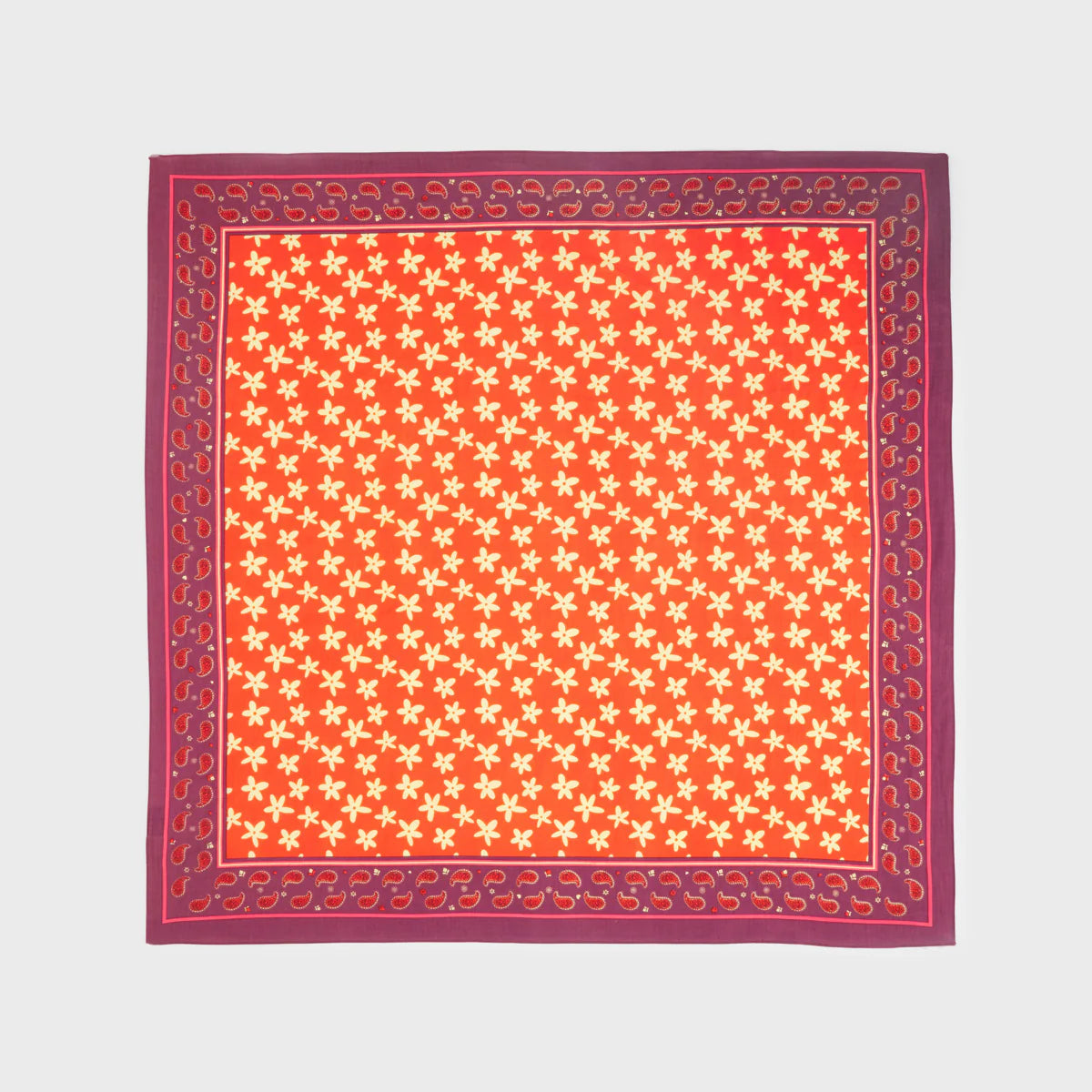 Foulard femme 100% coton bio - Billybelt