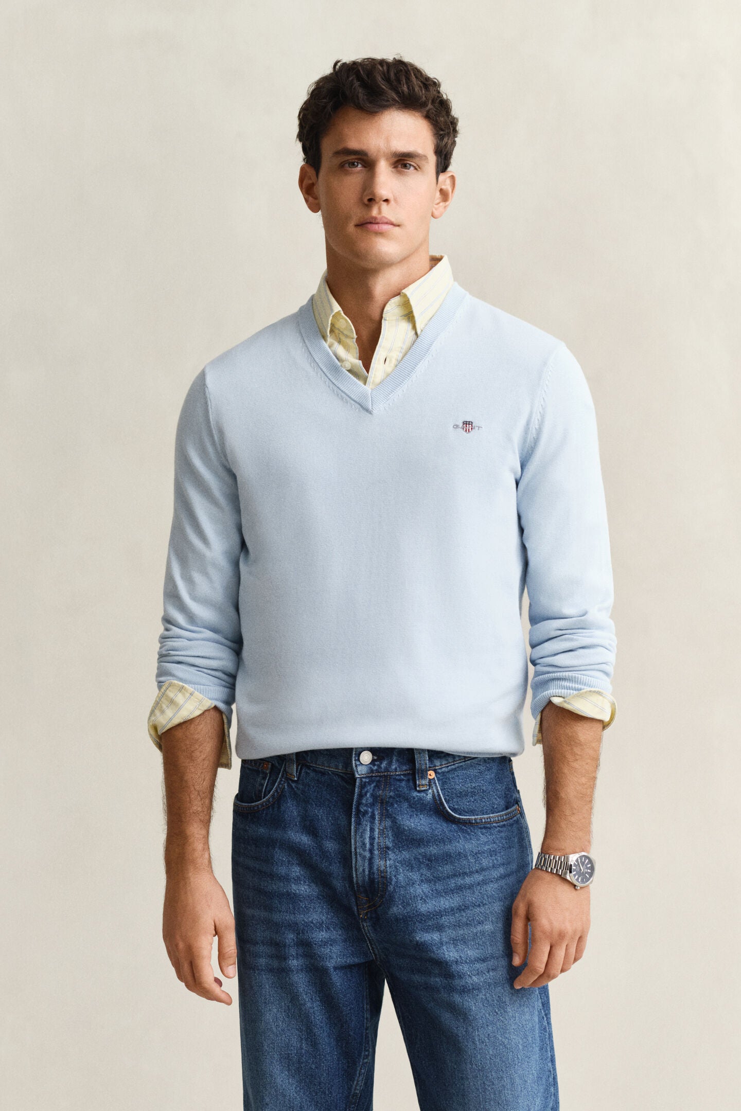 Pull en coton col en V homme élégant et confortable - Plusieurs coloris - Gant