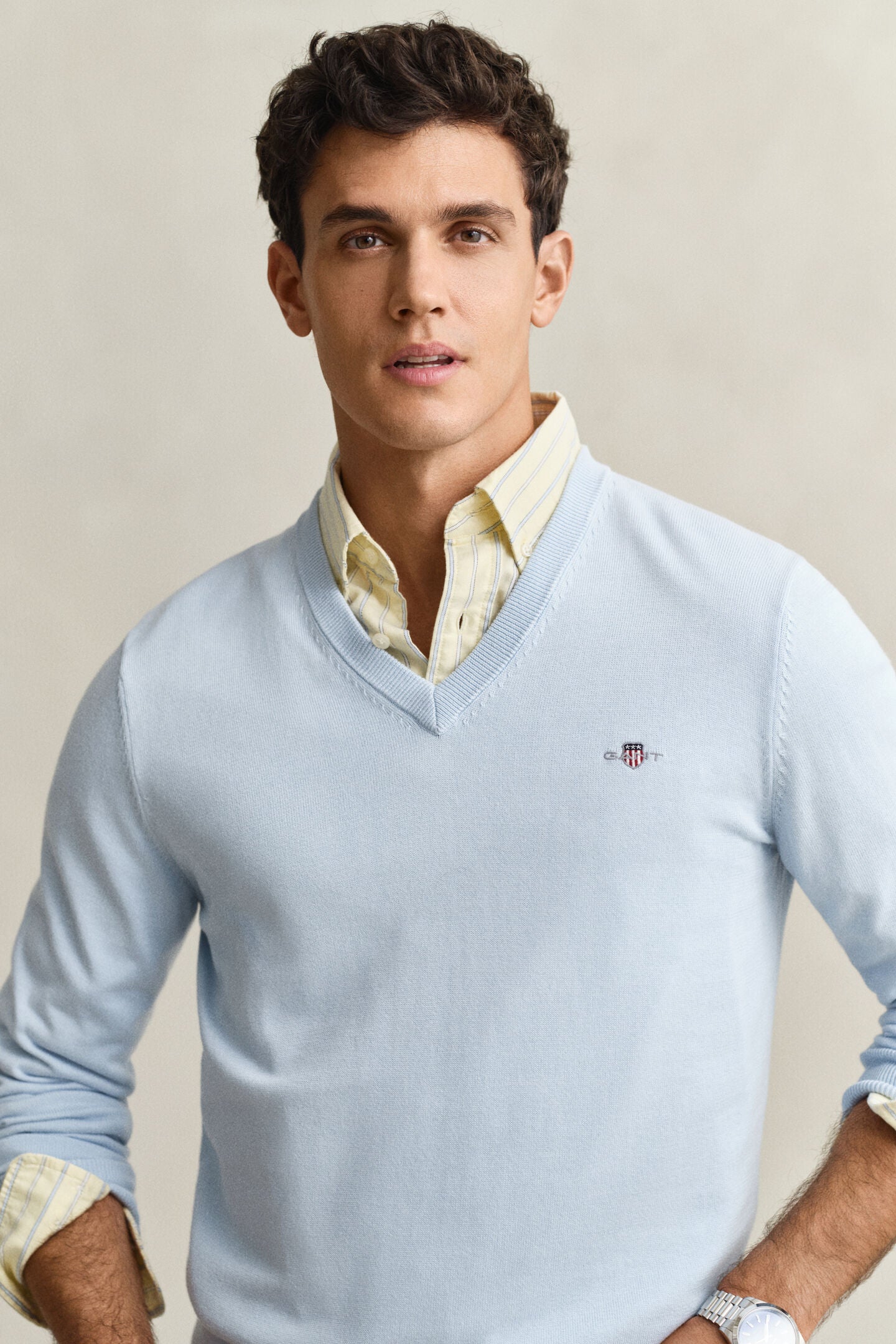 Pull en coton col en V homme élégant et confortable - Plusieurs coloris - Gant